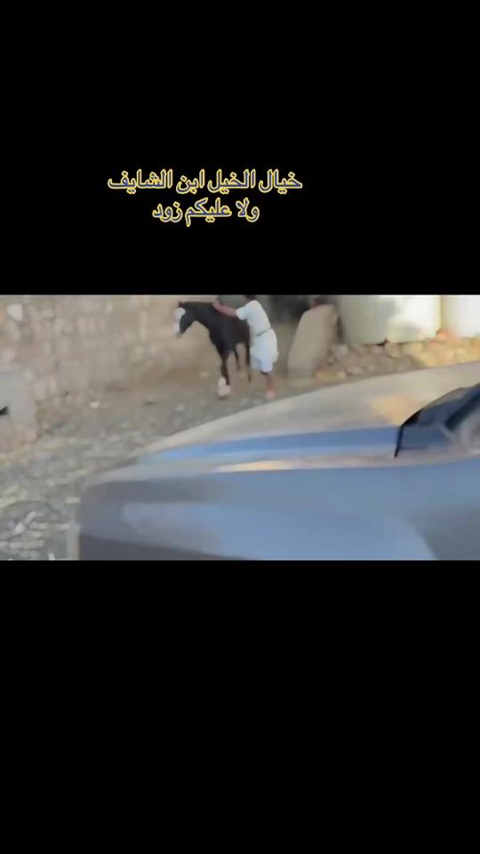 TikTok video thumbnail by horses.711