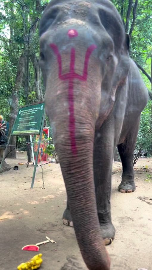 TikTok video thumbnail by lashanjayasinghe