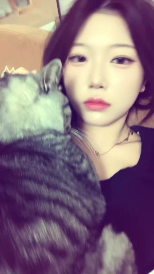 TikTok video thumbnail by 15.ay8