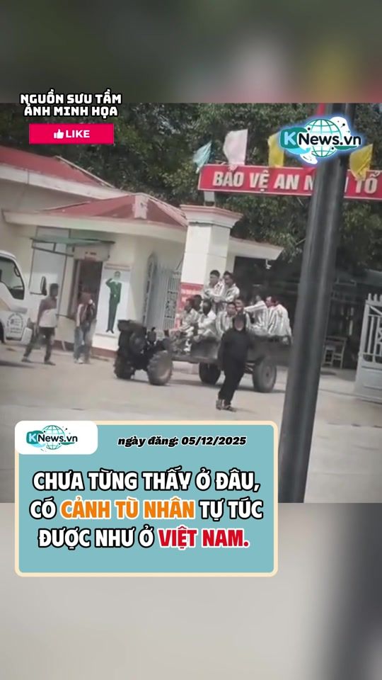 TikTok video thumbnail by tintucknews.vn