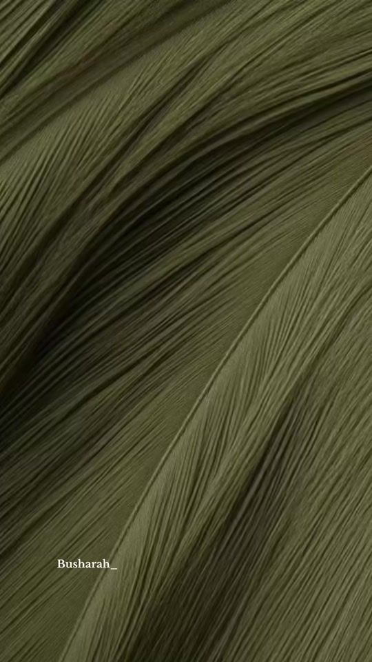 TikTok video thumbnail by busharah_