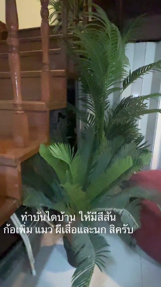 TikTok video thumbnail by coffeeandbakerycorner