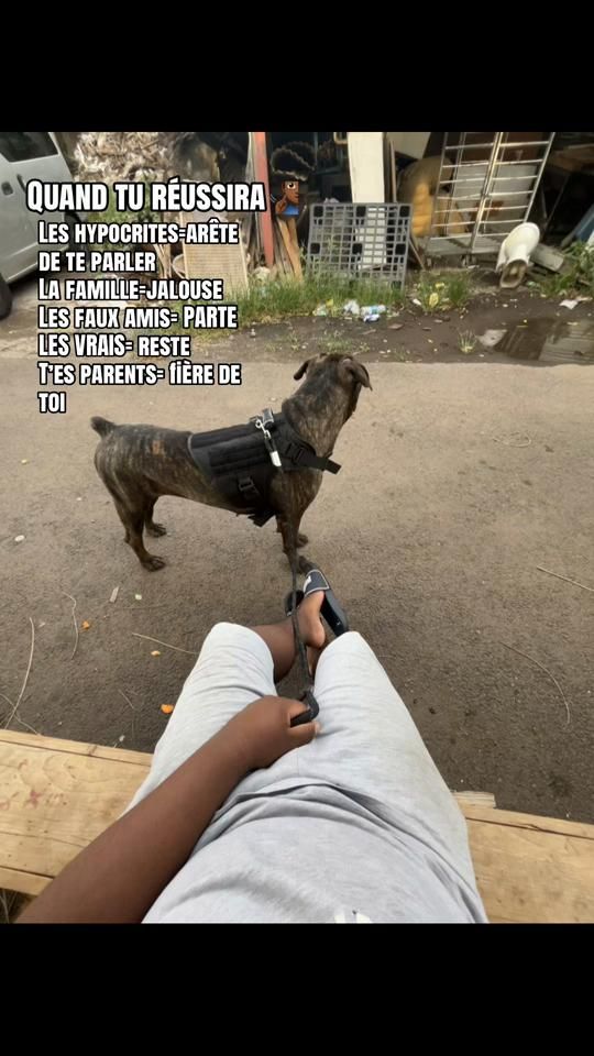 TikTok video thumbnail by lil.wayne583