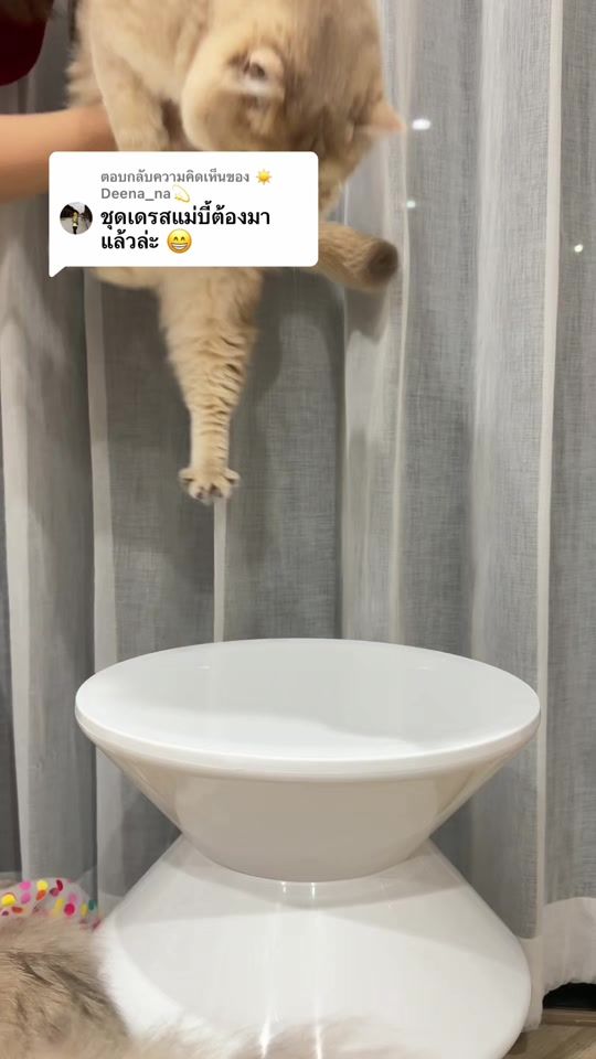 TikTok video thumbnail by forgiforfun
