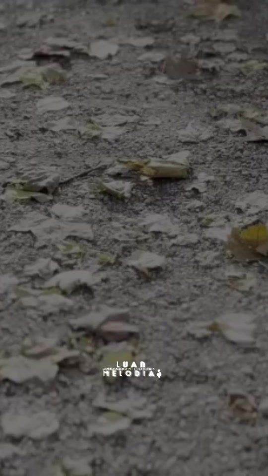 TikTok video thumbnail by luanmelodias