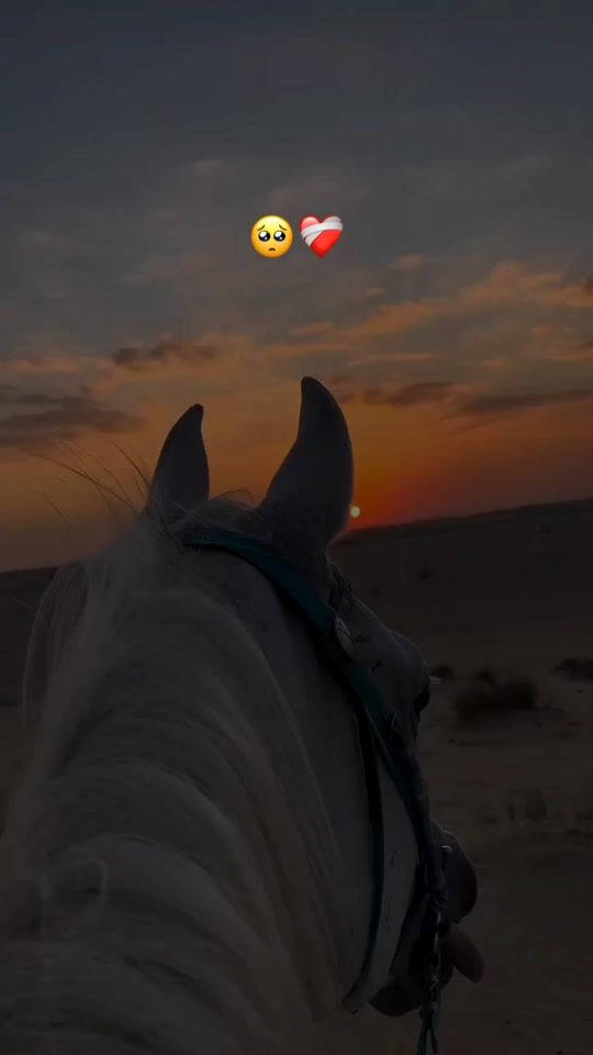 TikTok video thumbnail by letra_music23