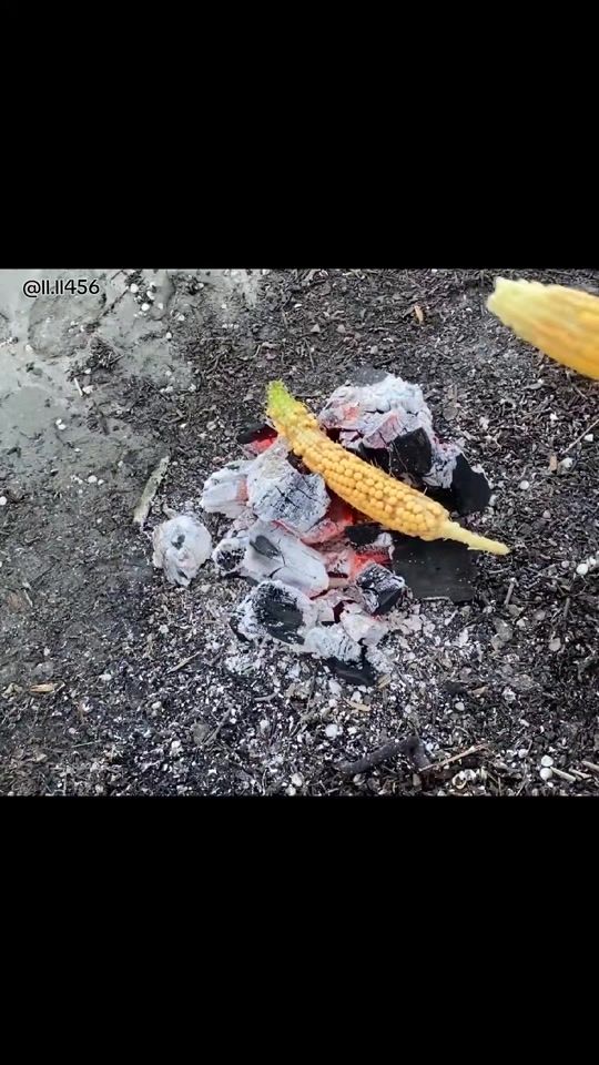TikTok video thumbnail by ll.ll456