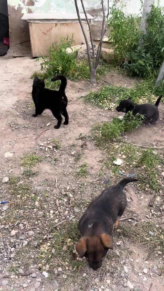 TikTok video thumbnail by heci_016_
