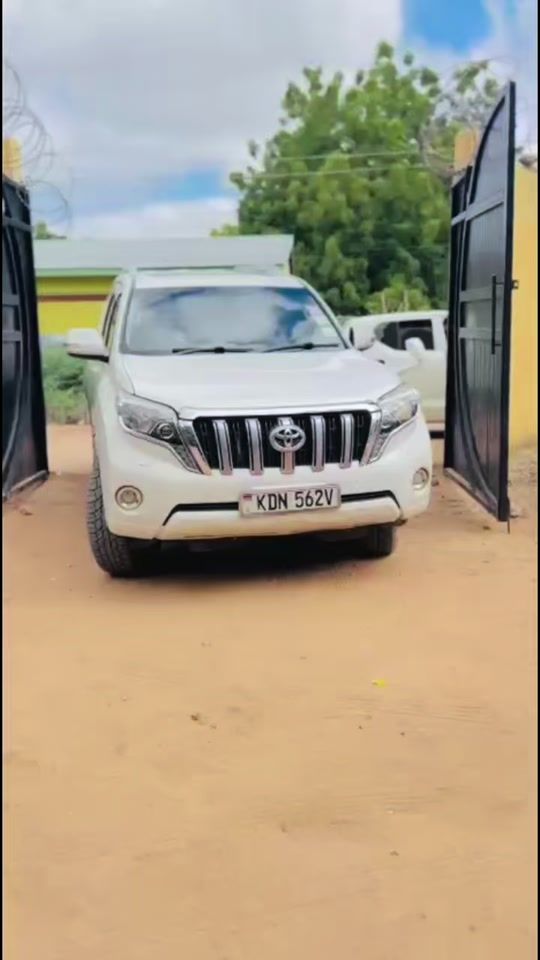 TikTok video thumbnail by dr.liban2