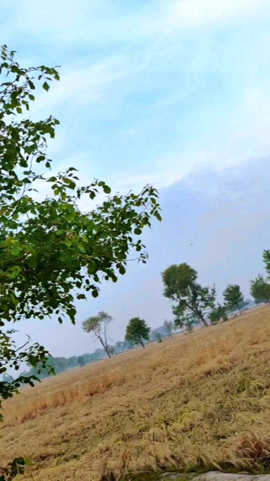 TikTok video thumbnail by chnain110