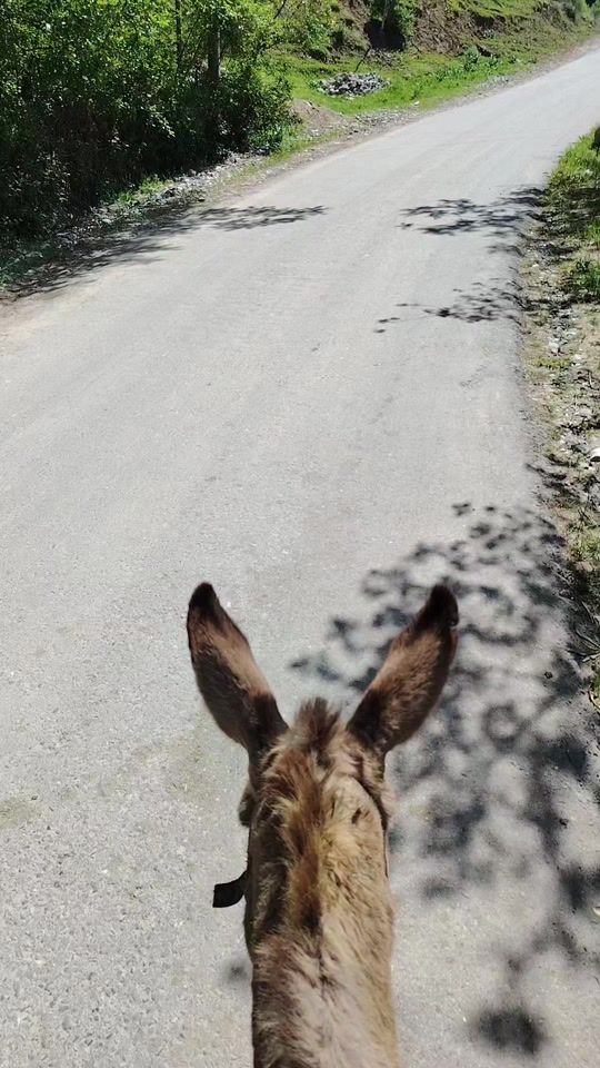 TikTok video thumbnail by ogabek_01_07.2002
