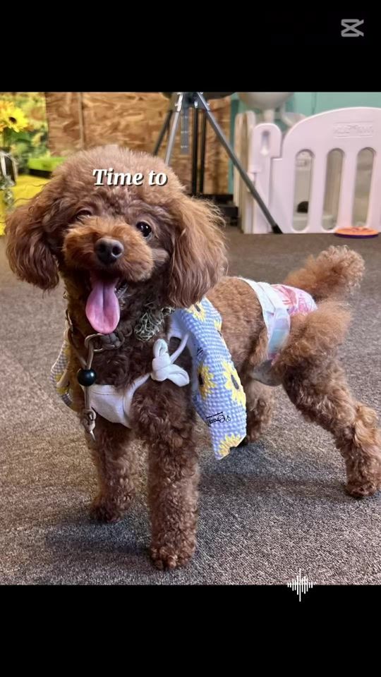 TikTok video thumbnail by user7146351611602
