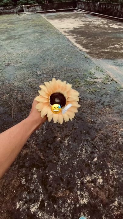 TikTok video thumbnail by prince.akash2258