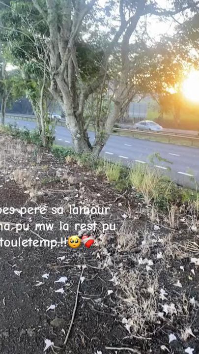 TikTok video thumbnail by whos_.dev