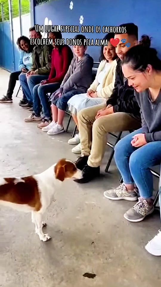 TikTok video thumbnail by nuncafizeramessecanal