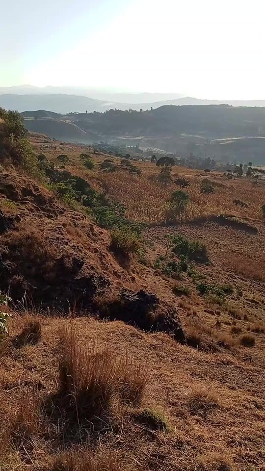 TikTok video thumbnail by africankush