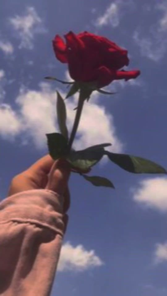 TikTok video thumbnail by user5030828129576