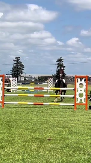 TikTok video thumbnail by tara_gower