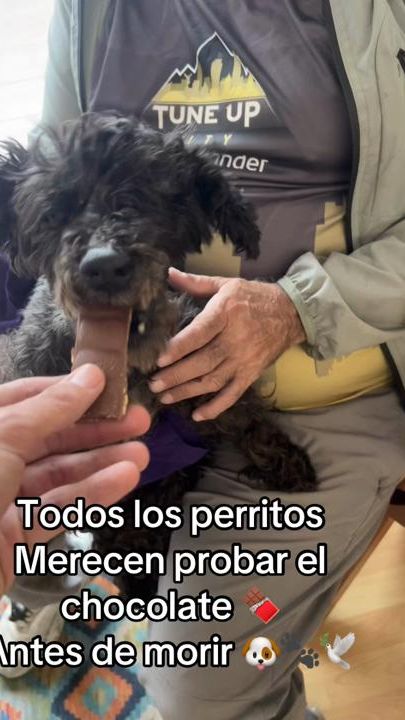 TikTok video thumbnail by juanpi_davalos_95
