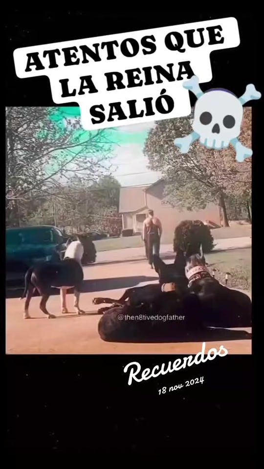 TikTok video thumbnail by maylliw