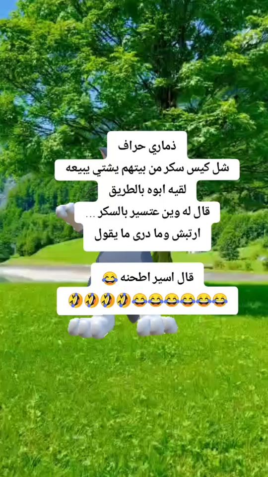 TikTok video thumbnail by l.mi.s_8