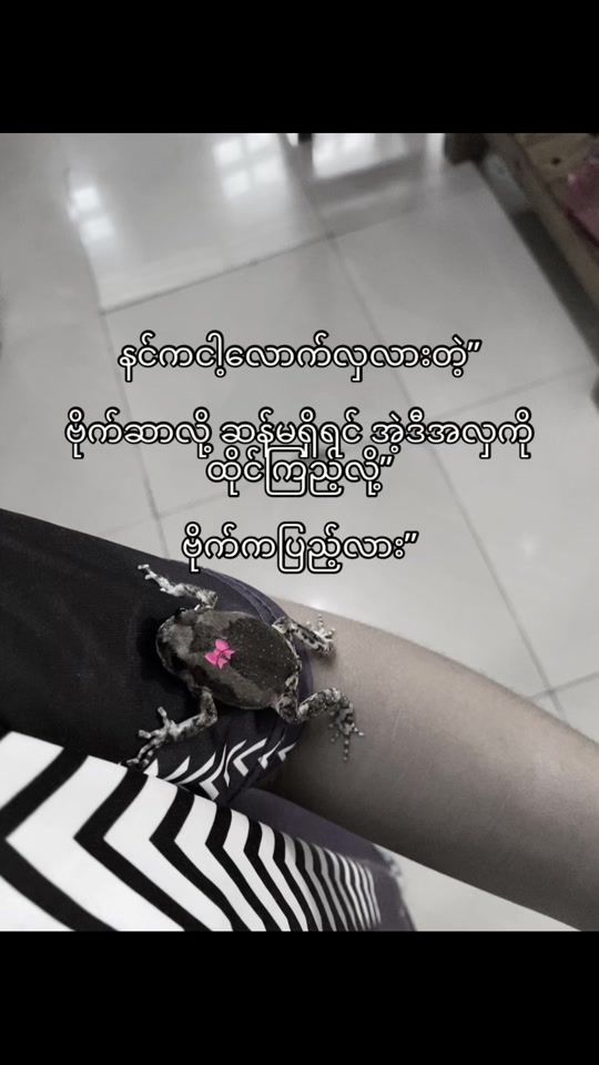 TikTok video thumbnail by ma.ice195