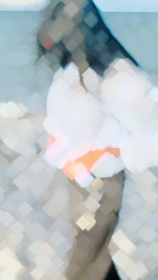 TikTok video thumbnail by pahee__official