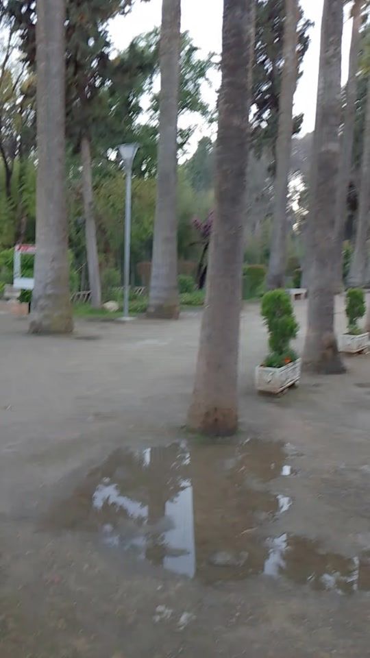 TikTok video thumbnail by samyamalak2