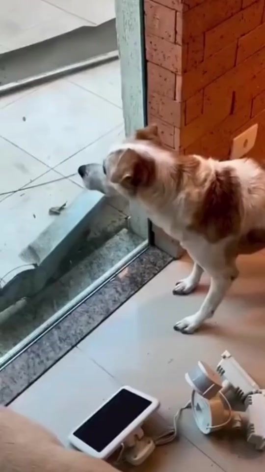 TikTok video thumbnail by know_what168