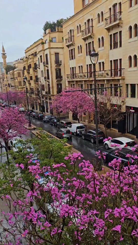 TikTok video thumbnail by beirutpage