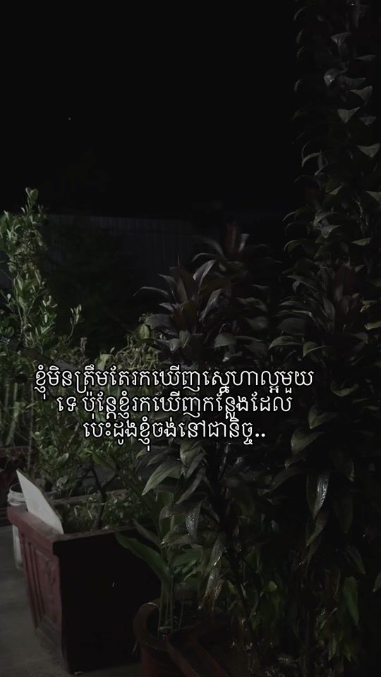 TikTok video thumbnail by _holiday02