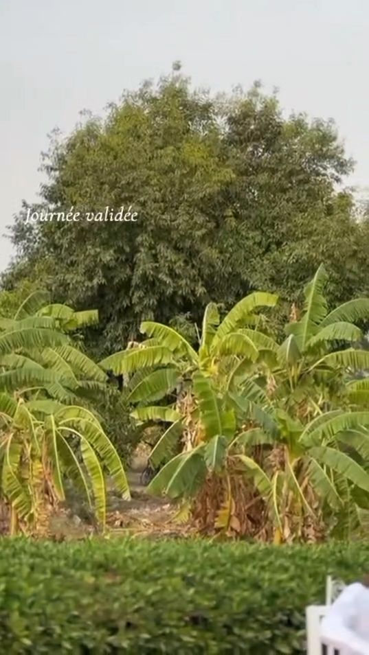 TikTok video thumbnail by naoura__bour2