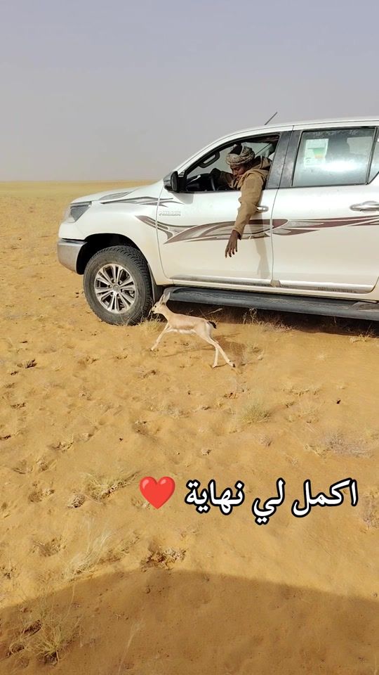 TikTok video thumbnail by mhmdmhms2026