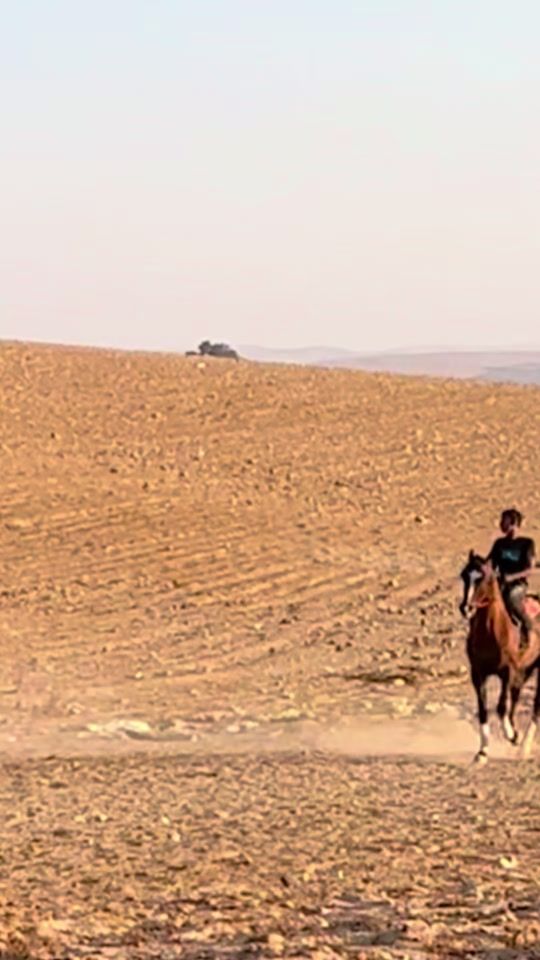 TikTok video thumbnail by ra3e_adezl
