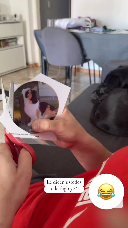 TikTok video thumbnail by edumakerlab