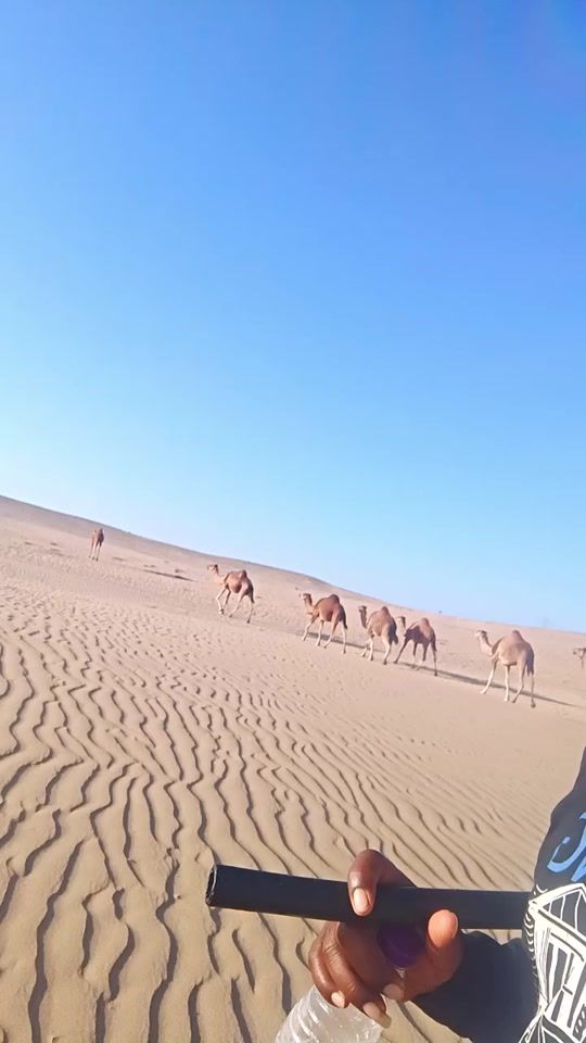 TikTok video thumbnail by kingbadsha547