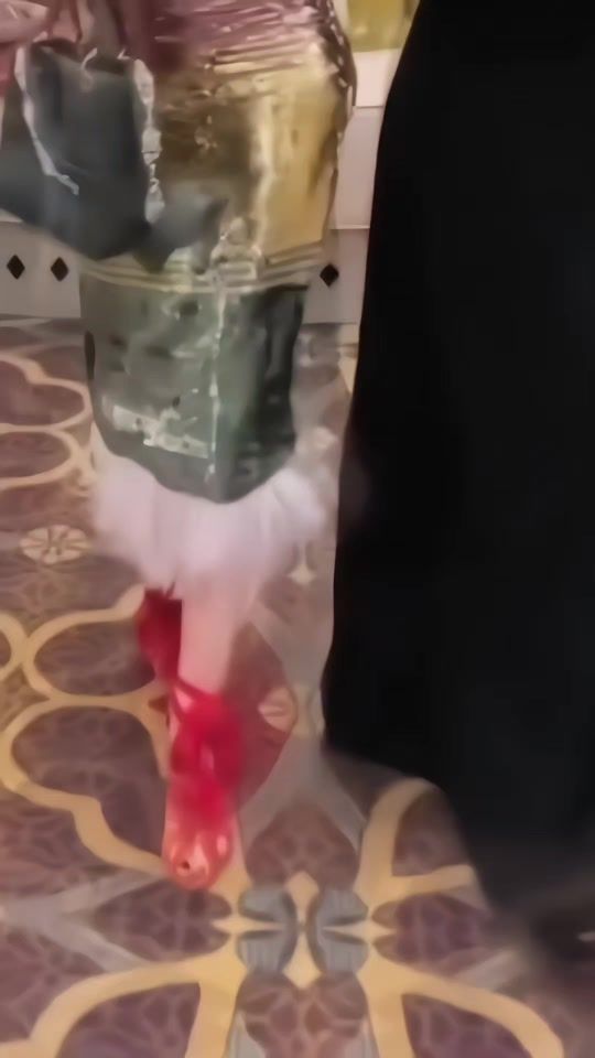 TikTok video thumbnail by kwakeb_fashen