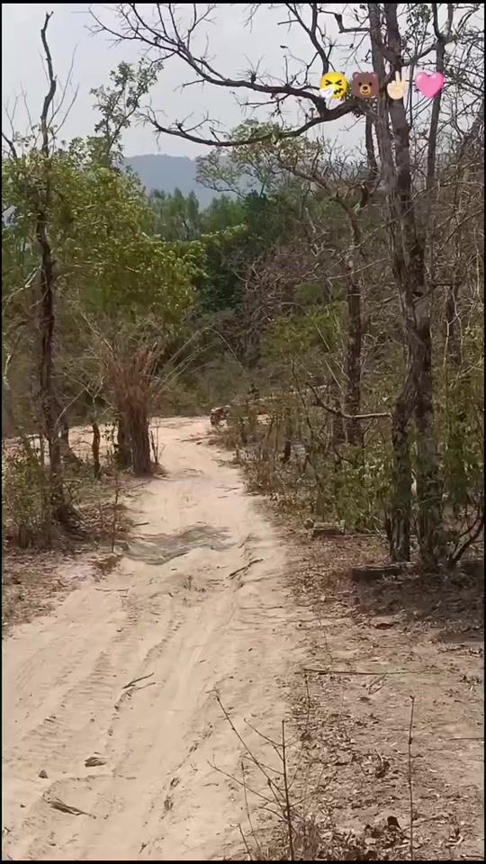 TikTok video thumbnail by .zt.kriov8