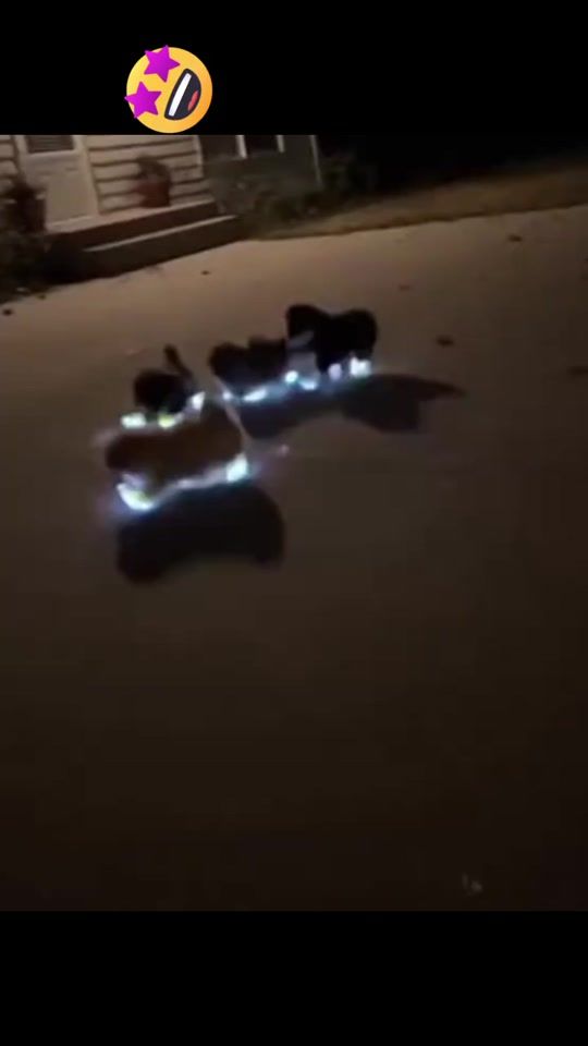 TikTok video thumbnail by light_house70