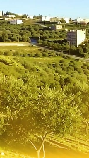 TikTok video thumbnail by joul.alrefaai