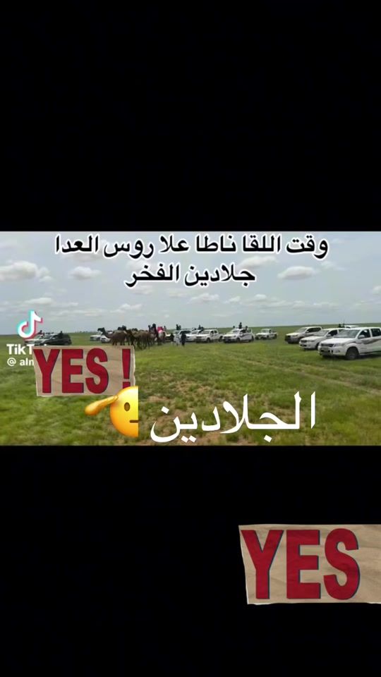 TikTok video thumbnail by userf9q95u4j6