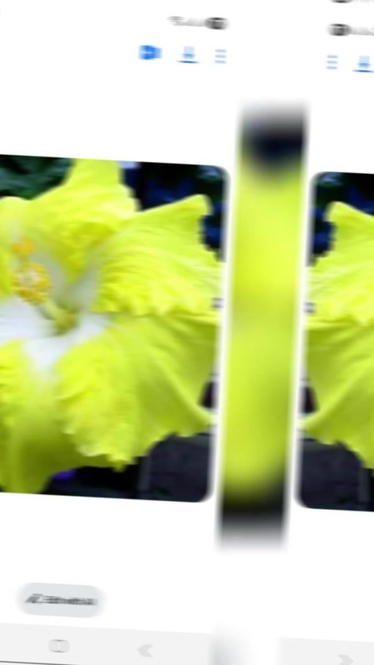 TikTok video thumbnail by shyamwati4