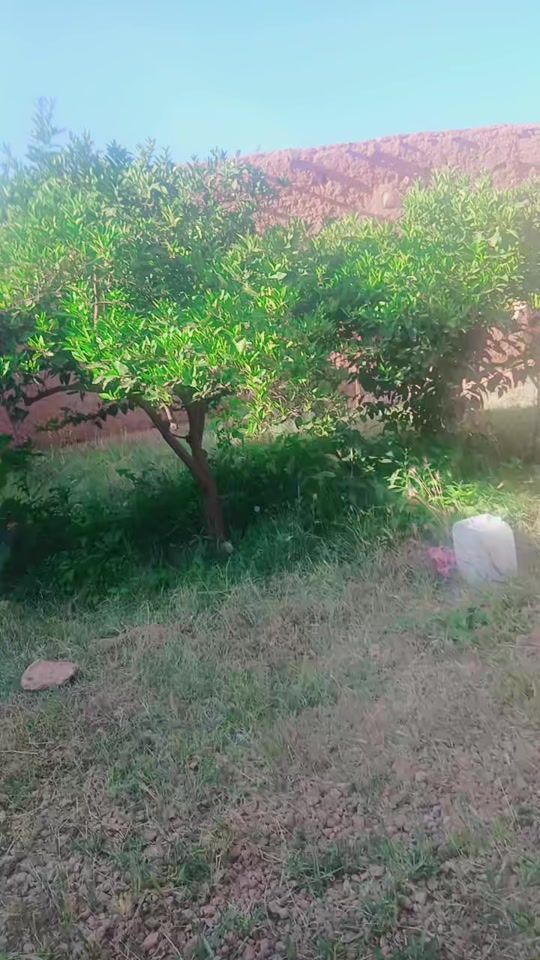 TikTok video thumbnail by kaltoumbah
