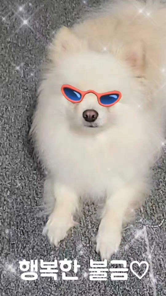 TikTok video thumbnail by user9101011333429