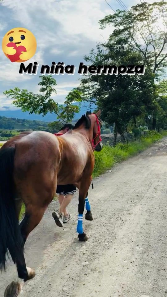 TikTok video thumbnail by coca.santiagoq