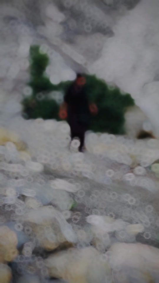 TikTok video thumbnail by nasir_chamkani