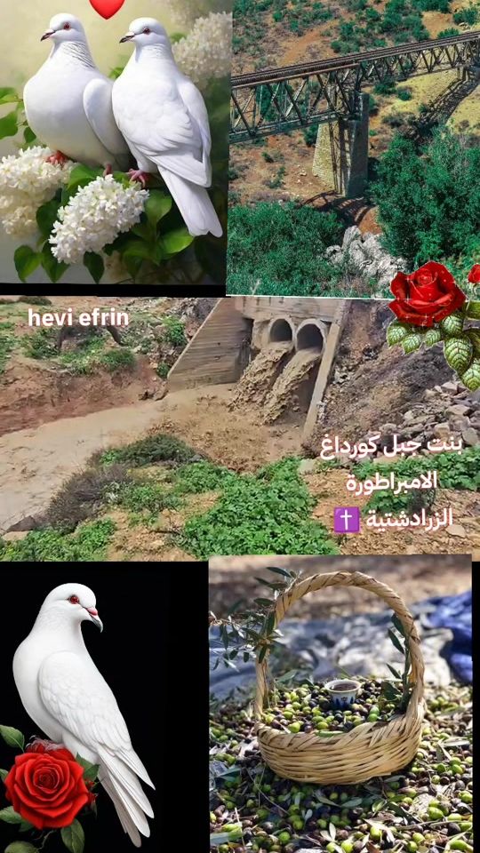 TikTok video thumbnail by hevi_efrin