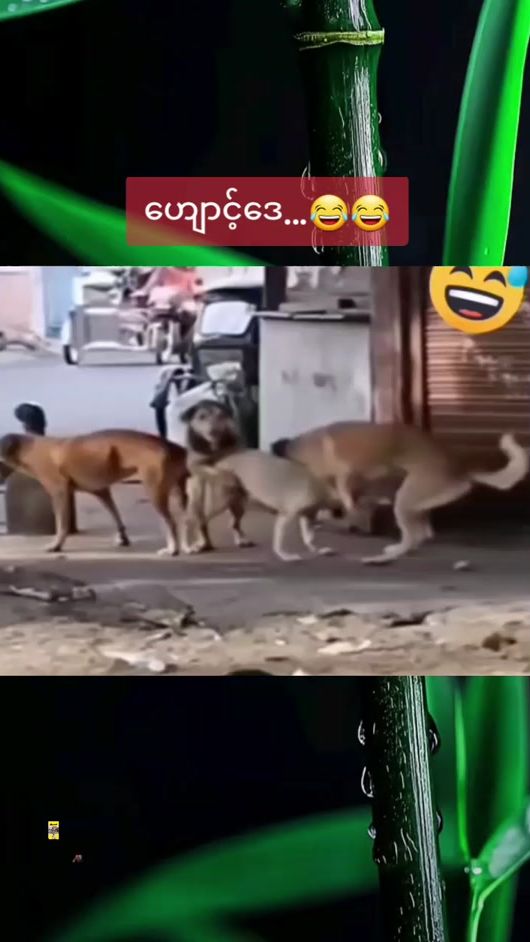 TikTok video thumbnail by ccbccb81