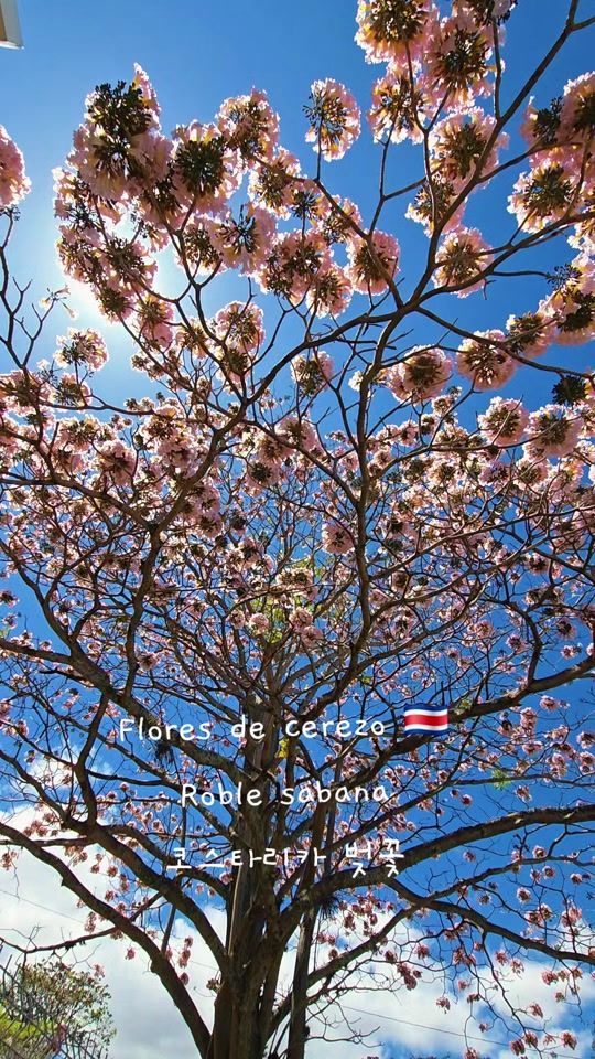 TikTok video thumbnail by isaackimcr