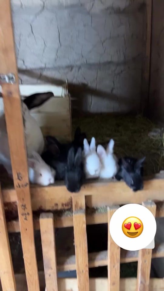 TikTok video thumbnail by irisbekk